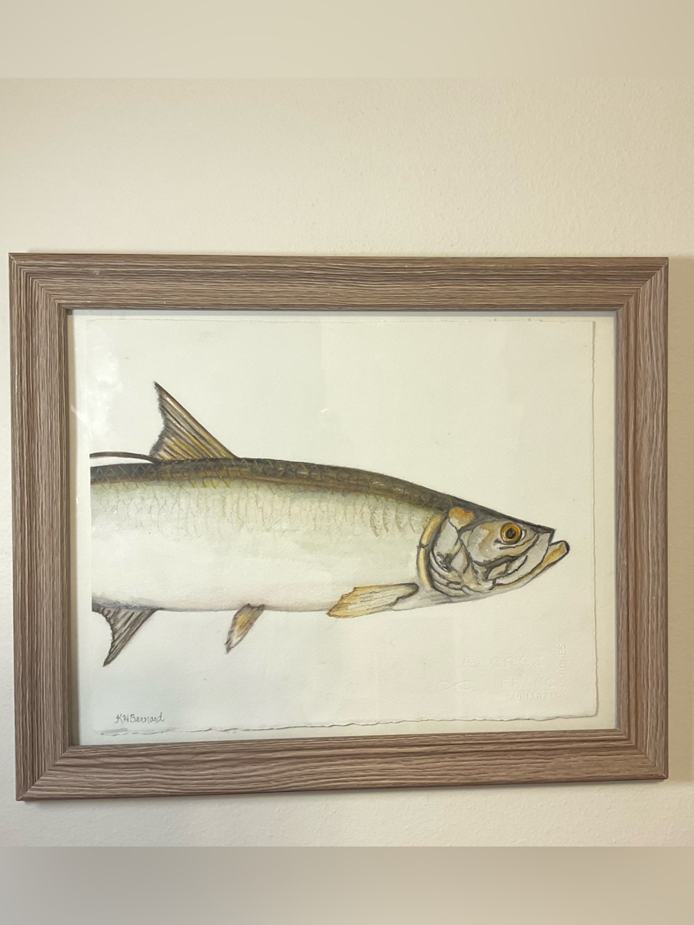 Framed Fish Wall Art - Cream and Brown Fish Illustration